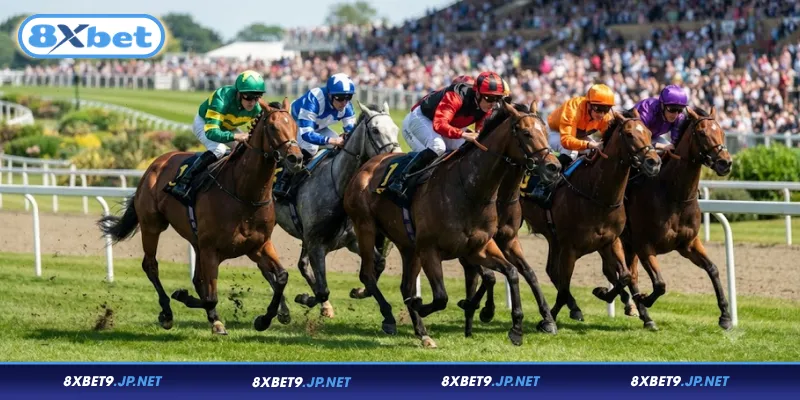 Những hình thức cá cược đua ngựa phổ biến tại 8XBET